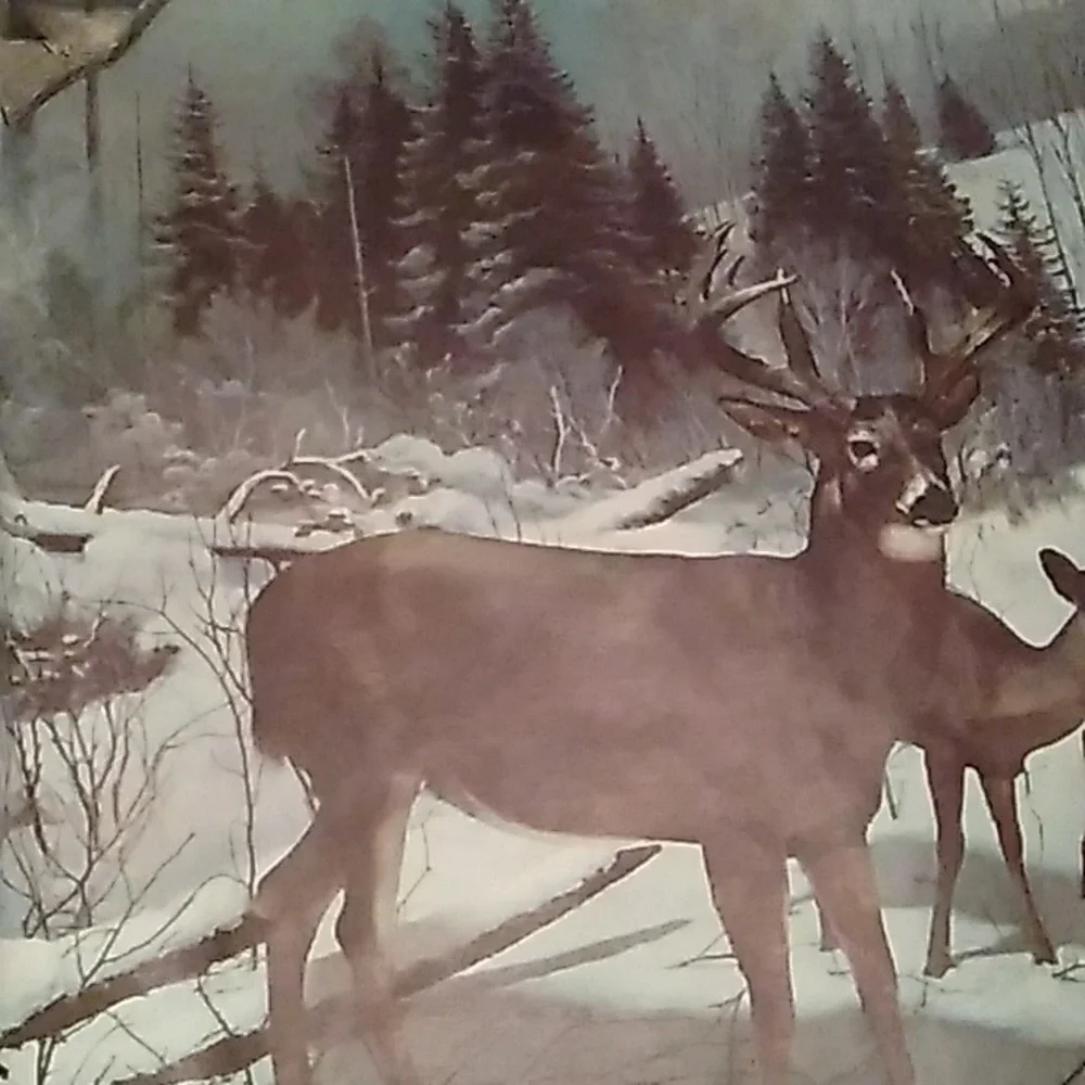 DEER MURAL WILDLIFE WISC VINTAGE  MURAL BUCKS  🦌 RARE WALL HUGE EVC